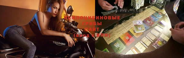 spice Володарск
