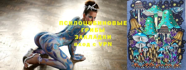 spice Володарск