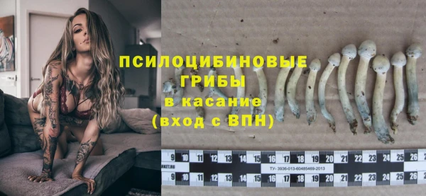 ешки Волоколамск